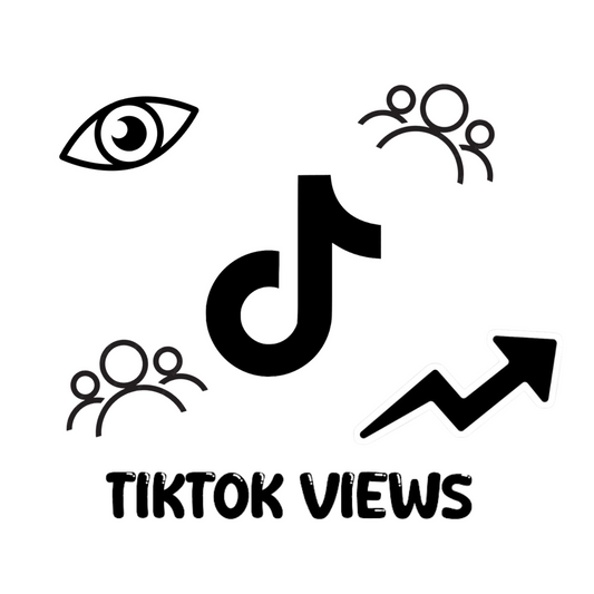 TikTok Views - price per 100 Views